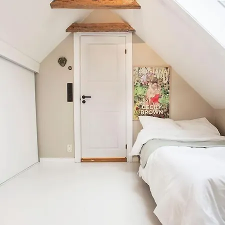 Apartment New! Modern Floor In Historic Area!